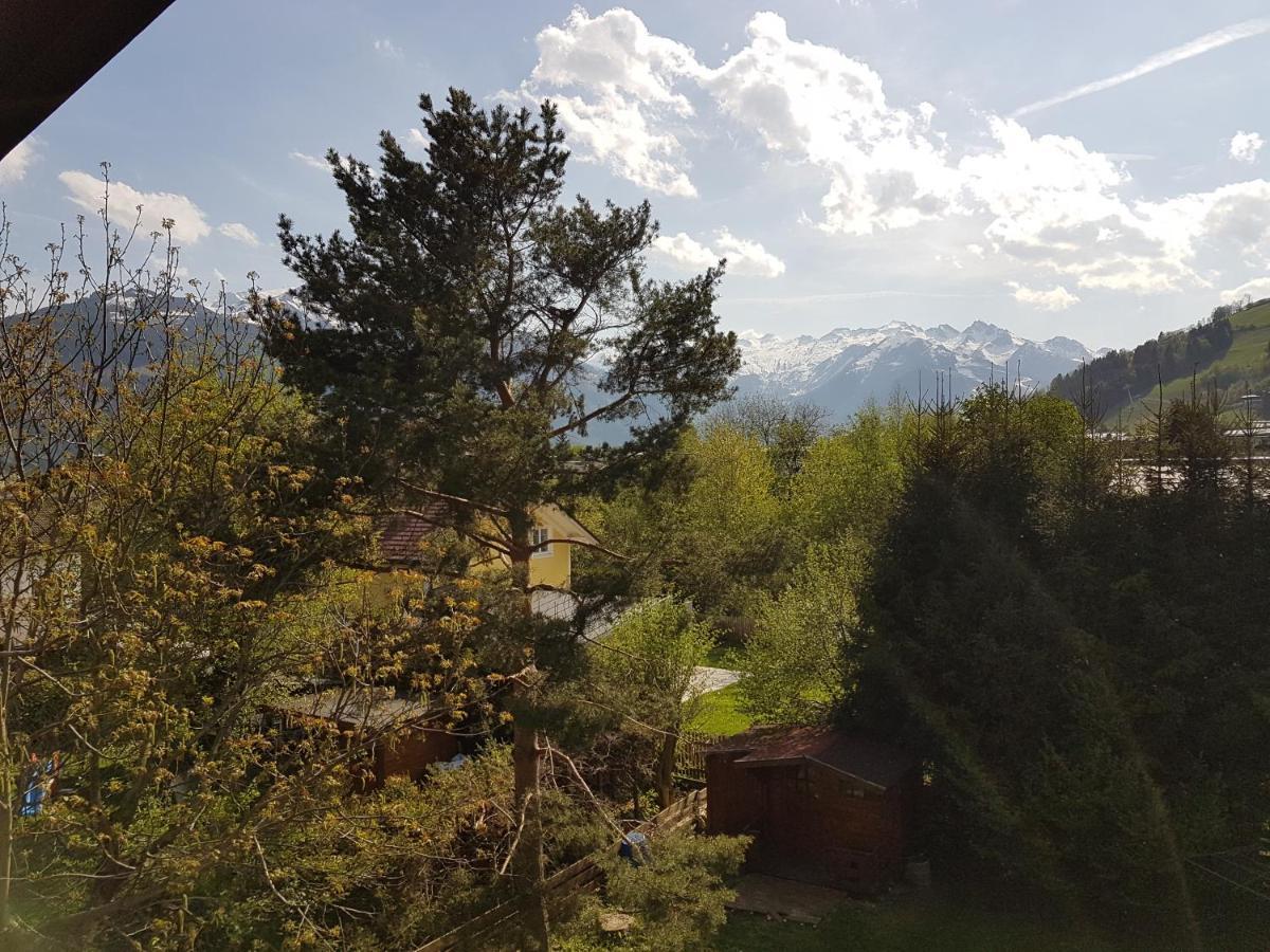 Alpina Apartments - Zell Am See Dış mekan fotoğraf