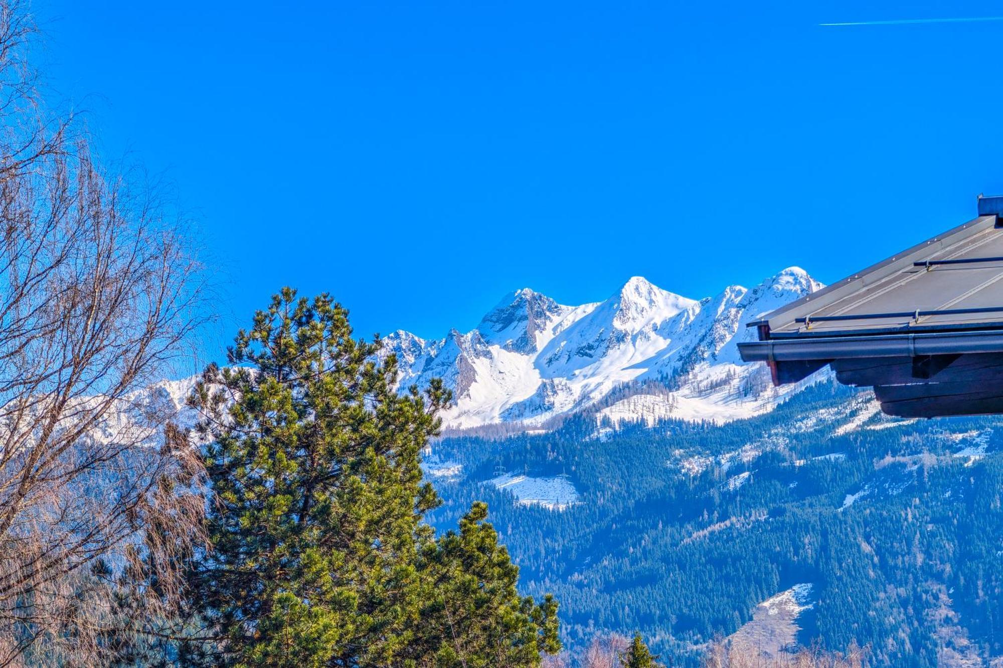 Alpina Apartments - Zell Am See Dış mekan fotoğraf