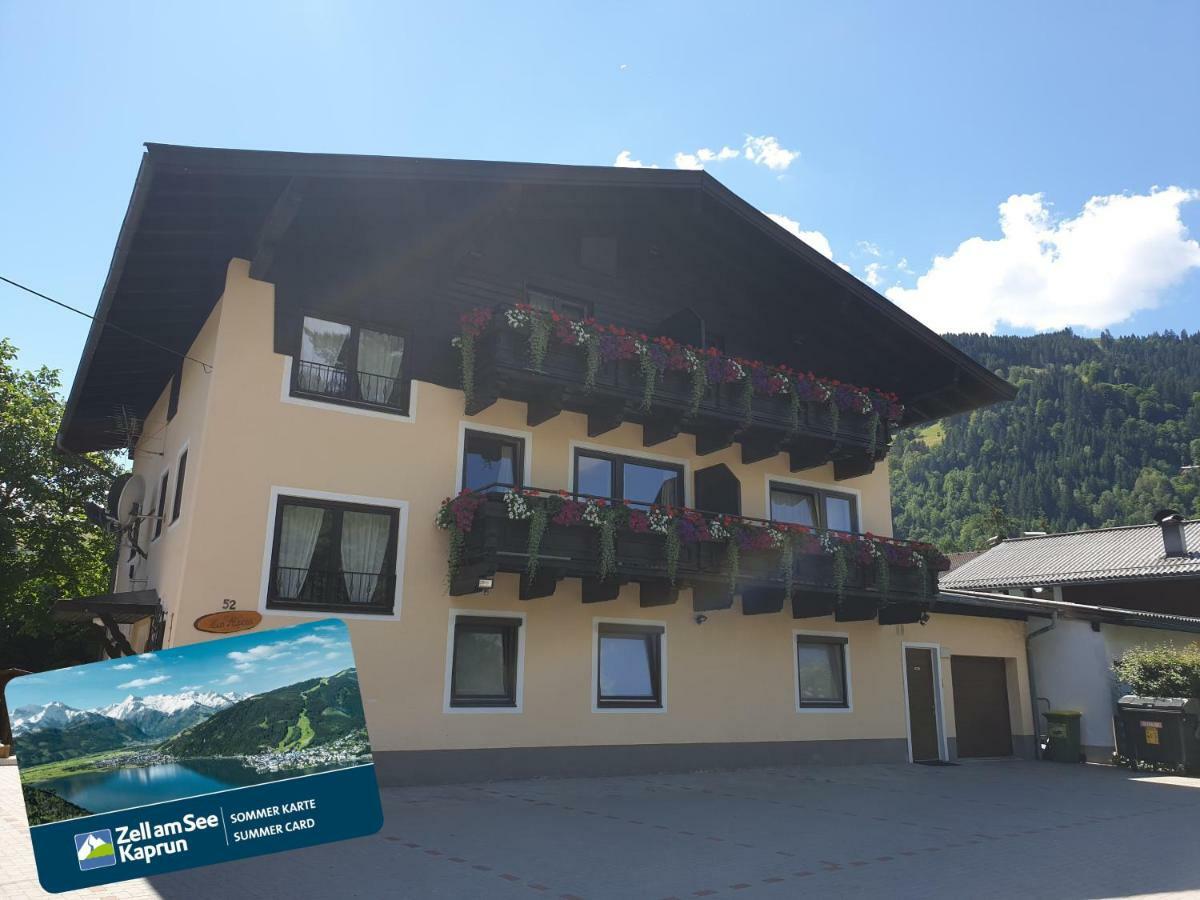 Alpina Apartments - Zell Am See Dış mekan fotoğraf