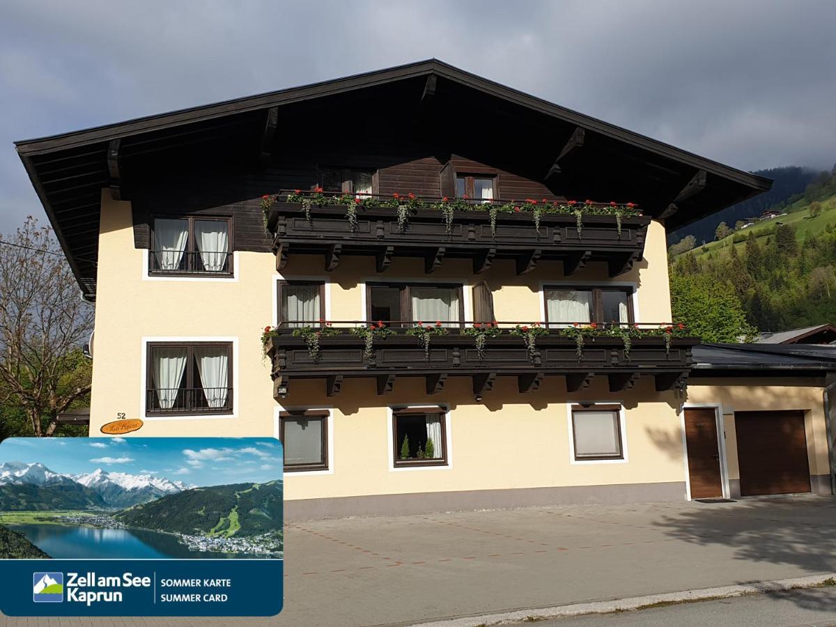 Alpina Apartments - Zell Am See Dış mekan fotoğraf
